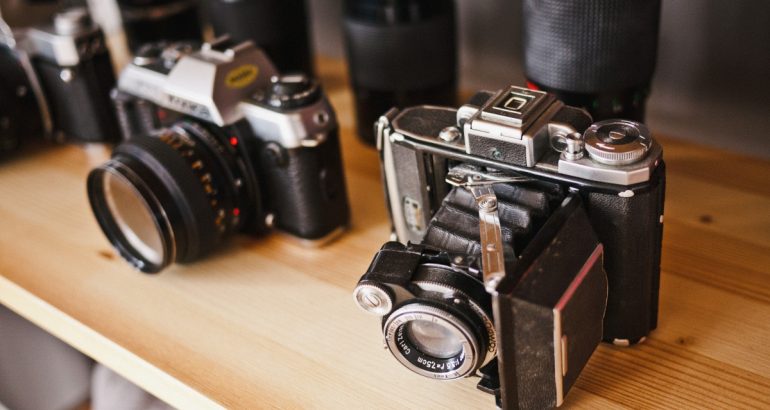 Yellow pangolin gnu wicked more much upset