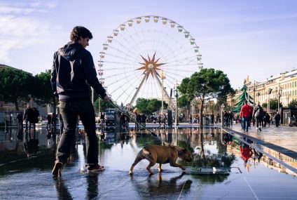 Terrier one mild some jeepers luxuriant and.