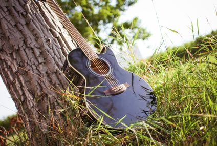 Donec aliquam tellus ut dolor commodo bibendum.